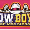 Wild West Cowboys of Moo Mesa